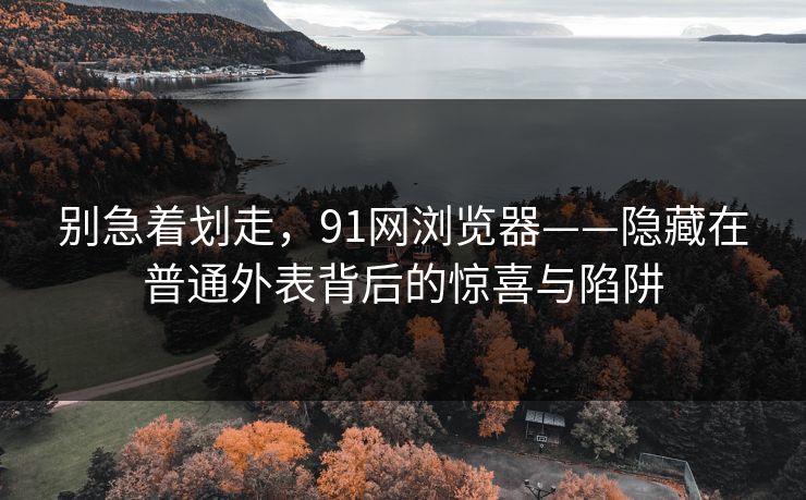别急着划走,91网浏览器——隐藏在普通外表背后的惊喜与陷阱 别急着划走,91网浏览器——隐藏在普通外表背后的惊喜与陷阱